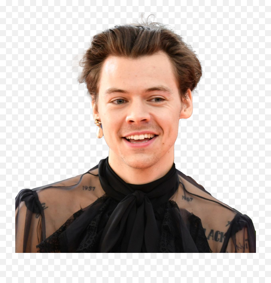 Harry Styles Png All - Harry Styles Age,Harry Icon