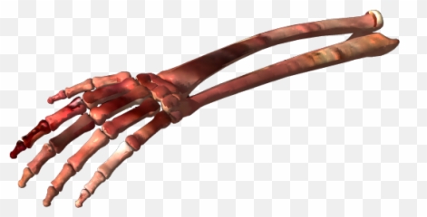 Download Bone Png Clipart - Finger