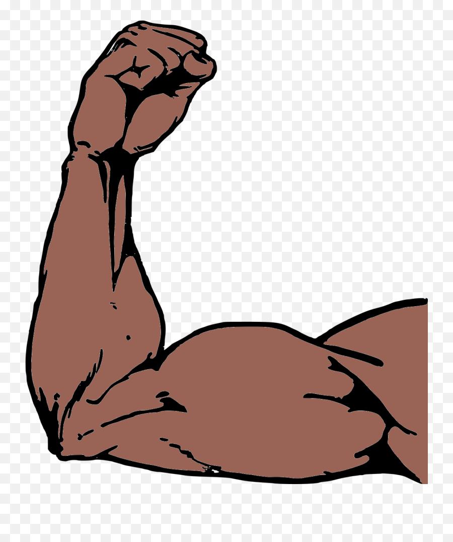 Muscle Clipart Arm Strength Transparent - Vector Muscle Arm Png,Cartoon Arm Png