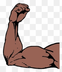 Muscle Clipart Arm Strength Transparent - Vector Arm Png