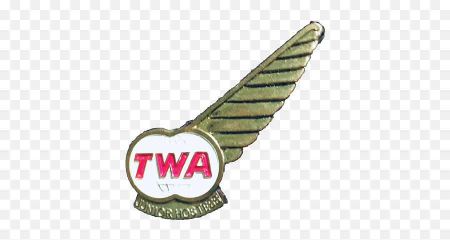 Junior Flight Wings - Emblem Png,Pilot Wings Png