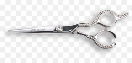 Shop Online For Hairdressing Scissors U2013 And Beauty - With Diamonds png