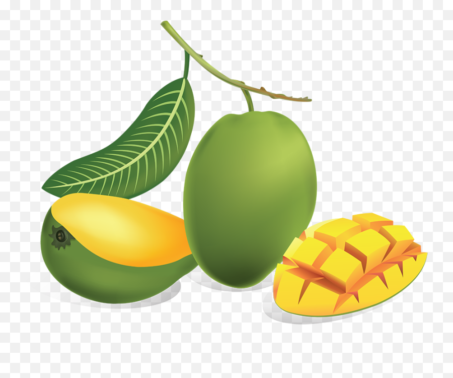 Download Green Mango Png - Green Mango Fruit Png,Mango Transparent Background