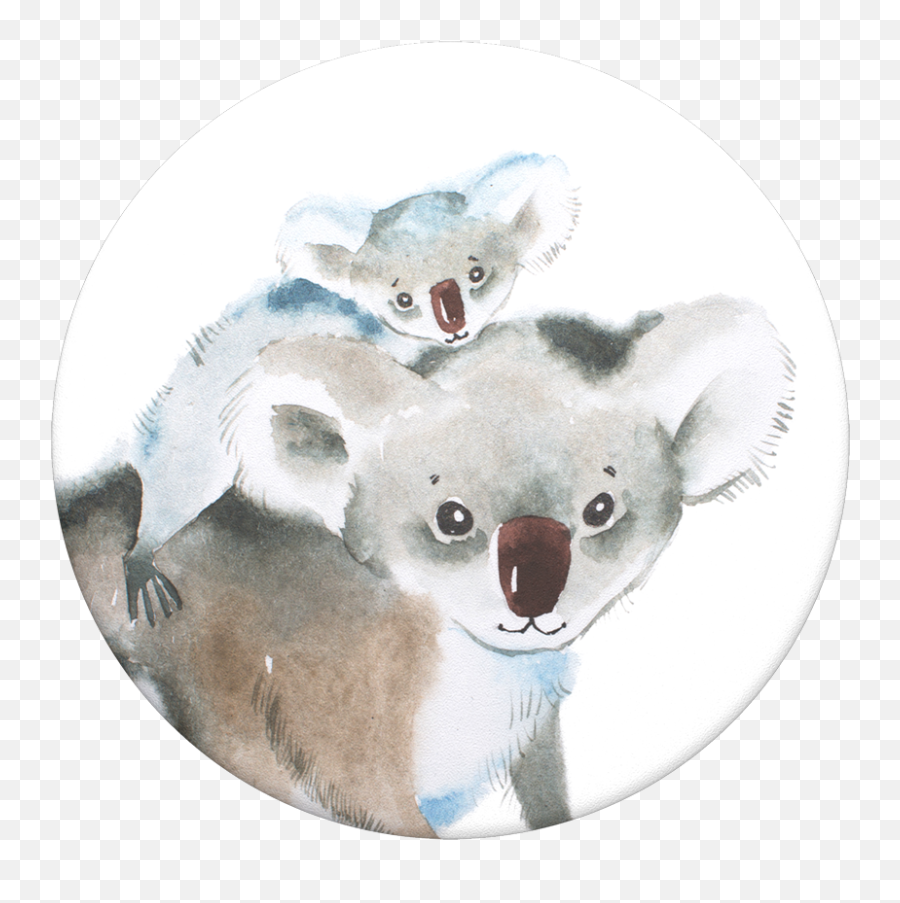 Koala Joey - Koala Mit Kind Gezeichnet Png,Koala Transparent