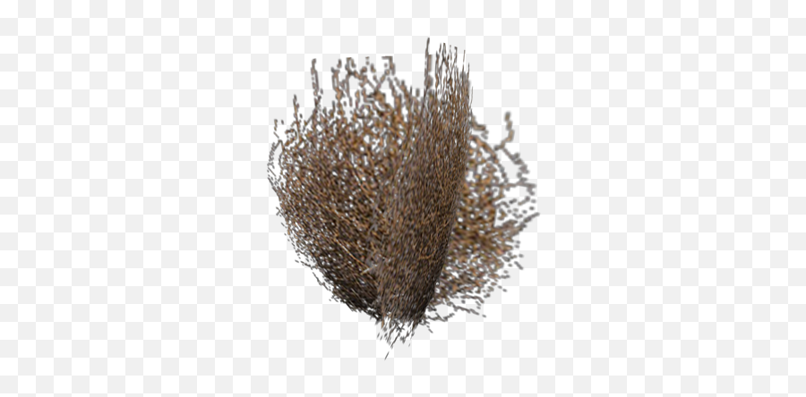 Tumbleweed Png Picture - Hedgehog Cactus,Tumbleweed Png