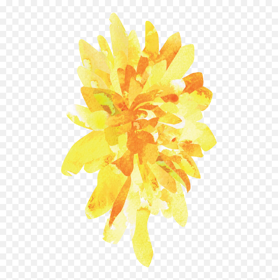 Yellow Aster - Watercolor By Susan Moshier On Dribbble Pedicel Png,Yellow Flower Png