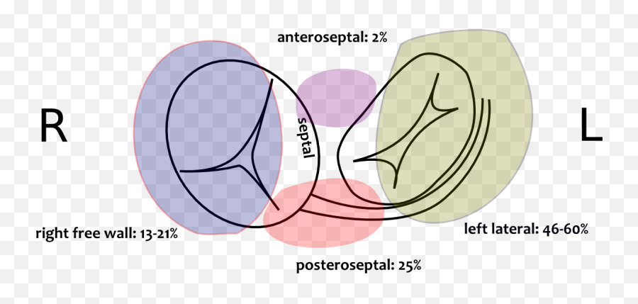 Filepathway Prevalencepng - Ecgpedia Diagram,Pathway Png