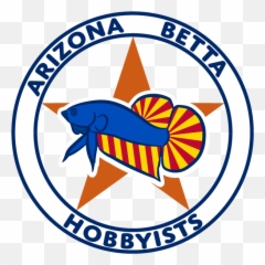 Az Betta Hobbyists - Beta Fighter Logo Png,Betta Fish Png