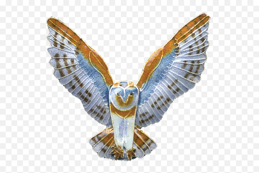 Barn Owl Pin Bamboo Jewelry Png