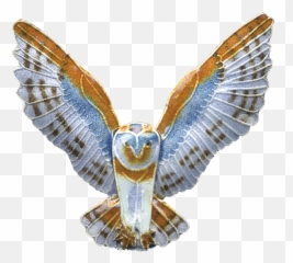 Barn Owl Pin Bamboo Jewelry Png