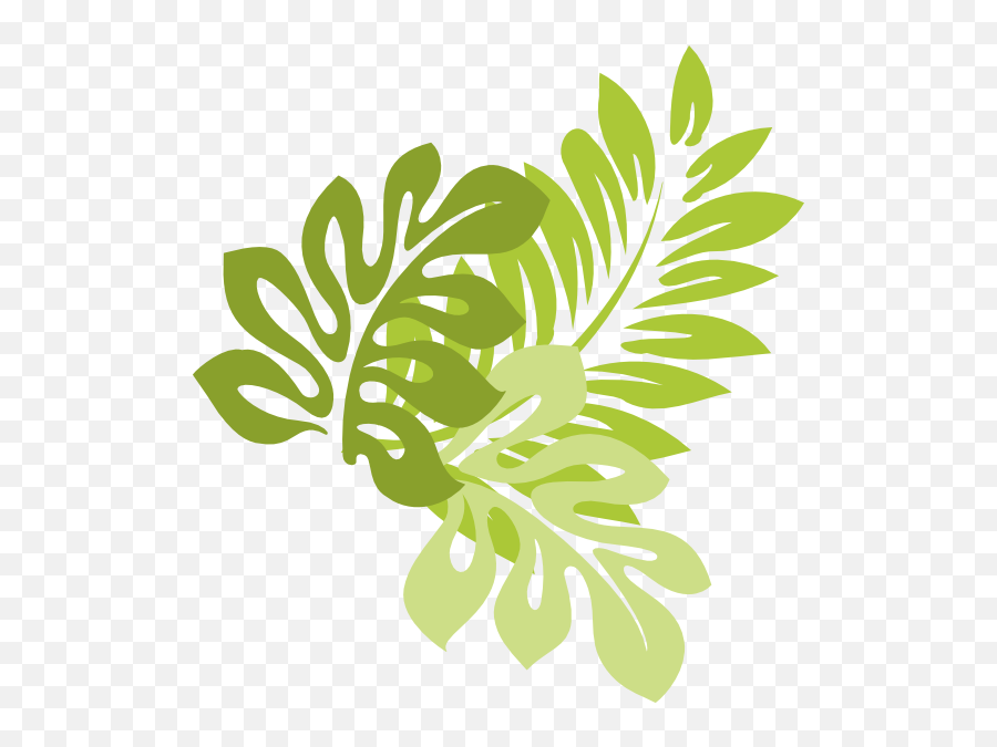 Download Hd Jungle Leaves - Jungle Leaves Vector Png Hibiscus Clip Art,Jungle Png