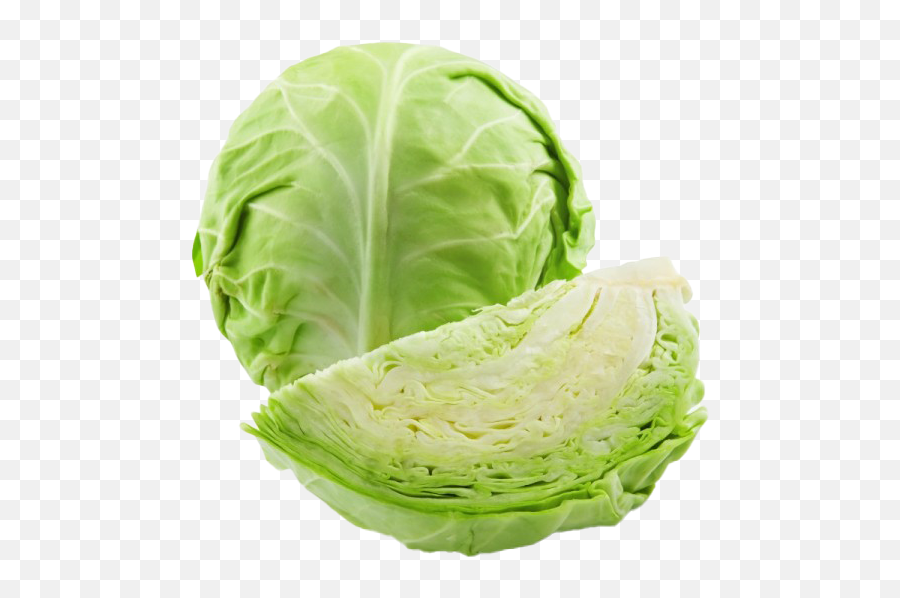 Cabbage Png Photos - Green Cabbage,Cabbage Transparent Background