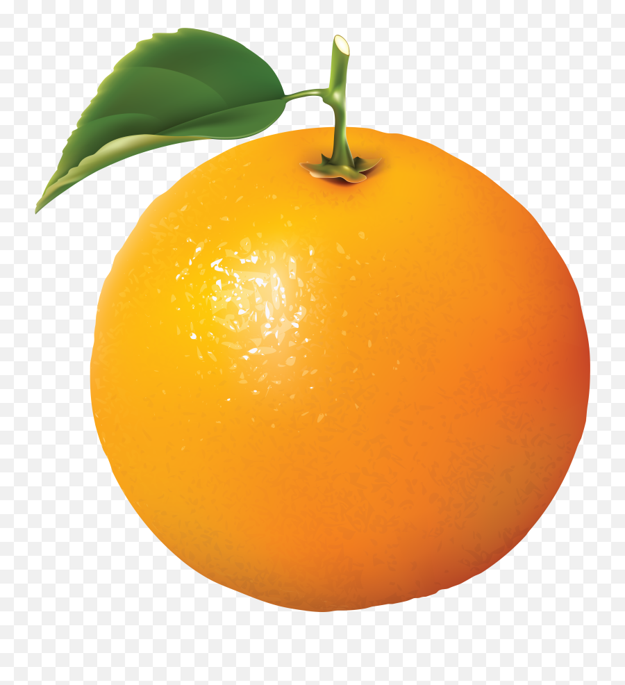 Orange - Orange Fruit Png,Oranges Png