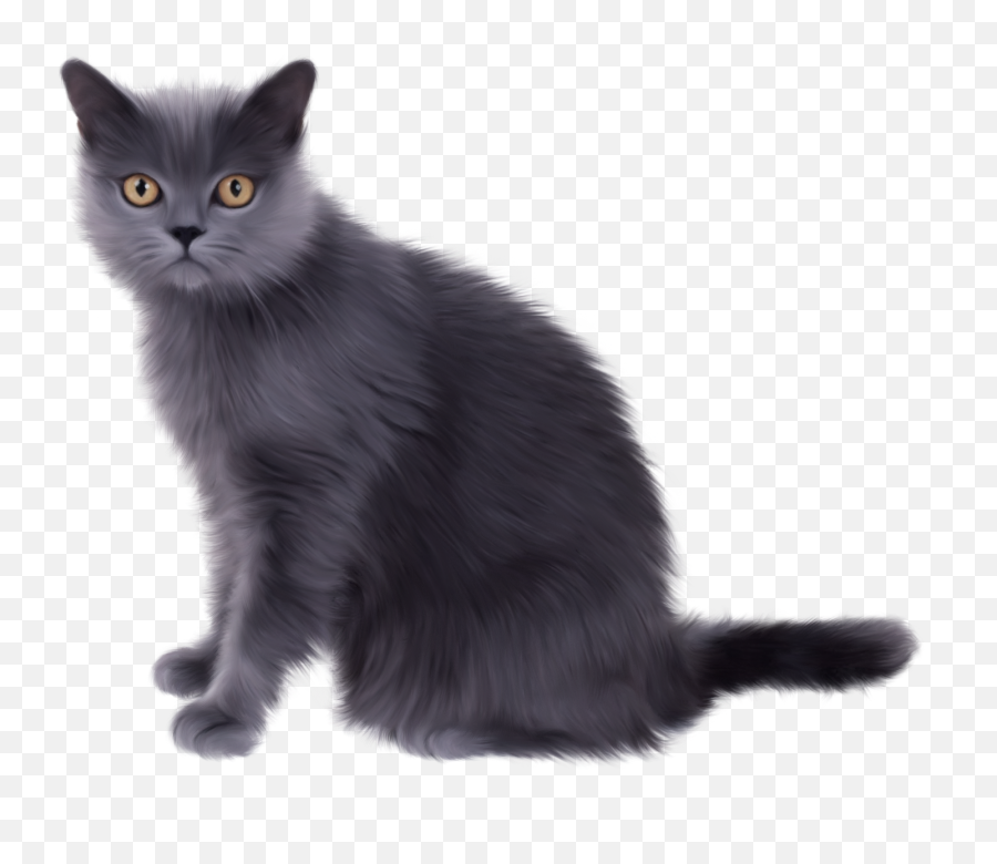 Persian Cat Clipart Transparent White - Black Persian Siamese Cat Png,Cat Clipart Transparent