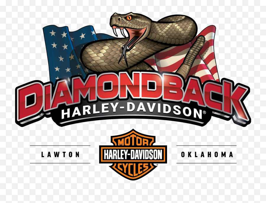 Buy A Harley Dealer Diamondback - Davidson Diamondback Harley Davidson Lawton Ok Png,Harley Logo Png