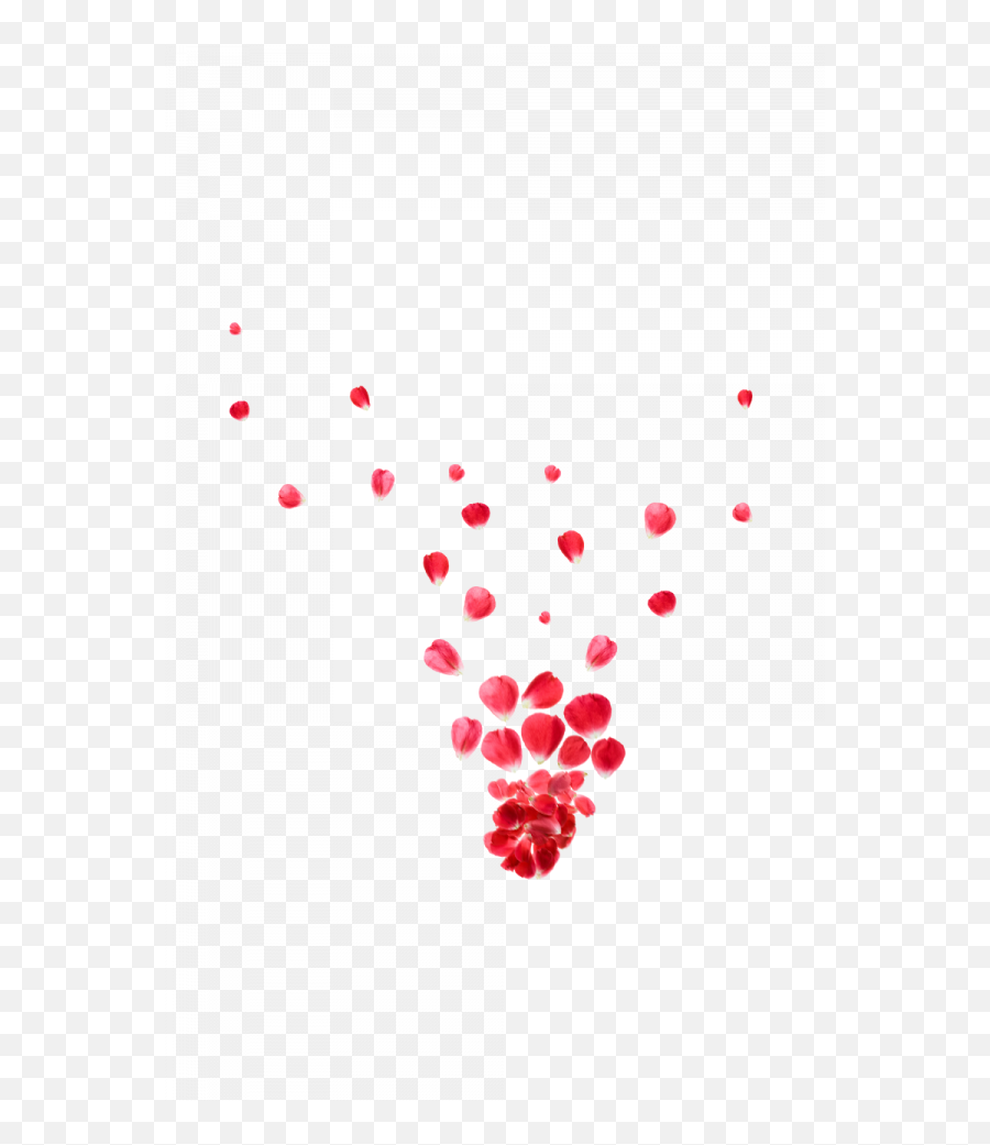Falling Red Rose Petals Png Transparent - Portable Network Graphics,Falling Rose Petals Png