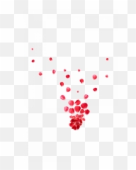 Falling Red Rose Petals Png Transparent - Portable Network Graphics