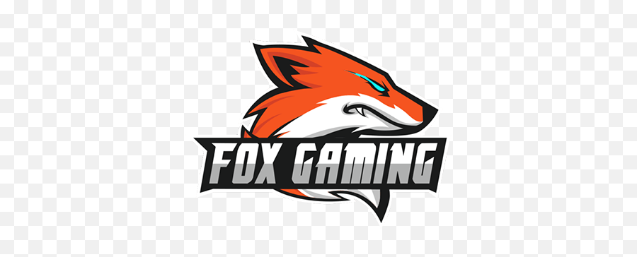 Valorant Competitive Team Rankings World Vlrgg - Fox Gaming Png,Team Liquid Logo