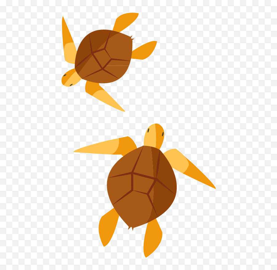 Turtle Clip Art - Loggerhead Sea Turtle Png,Turtles Png