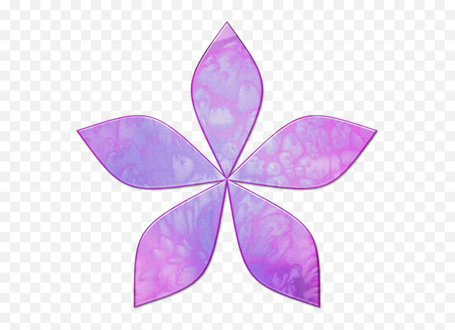 Purple Flower Free Stock Photo - Unknown Album Windows Media Player Png,Purple Flower Transparent