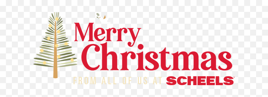 Scheels Discover Your Passion Scheelscom - Online Investor Education Png,Merry Christmas Logo Png