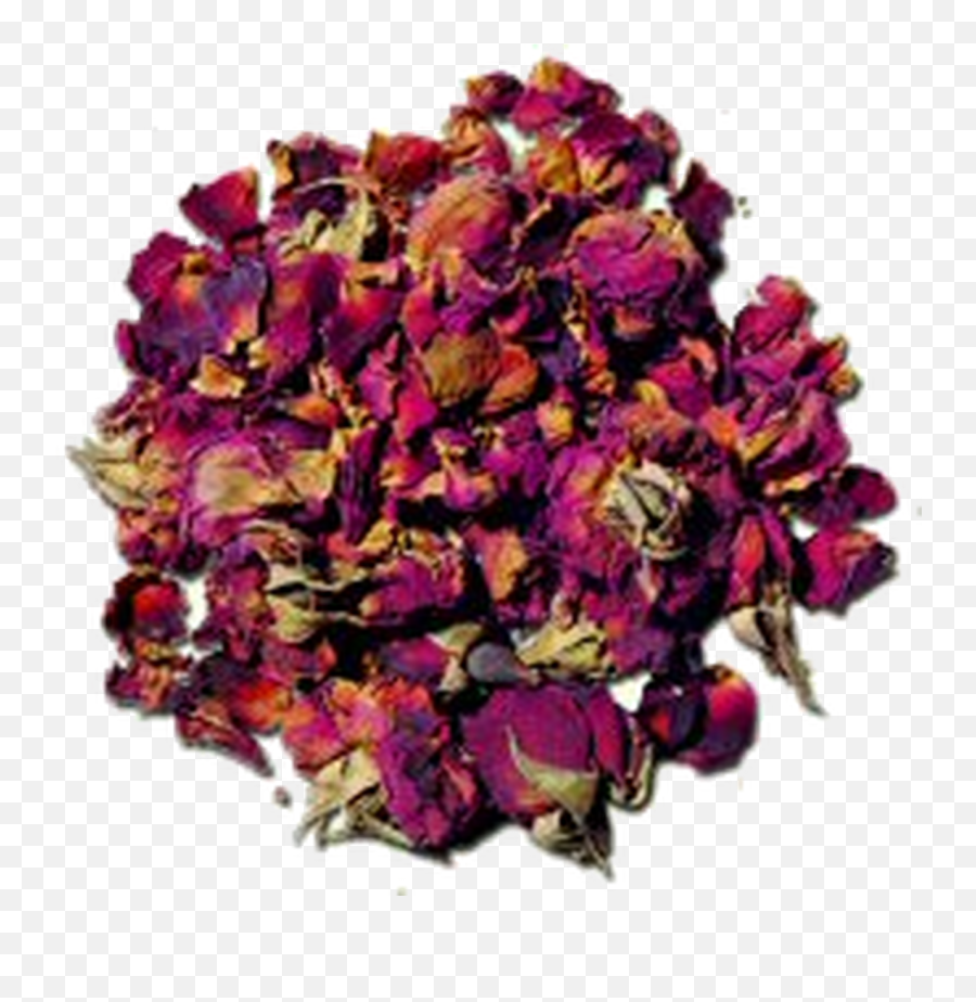 Rose Buds And Petals Herbal Loose Tea - Garden Roses Png,Rose Petals Transparent