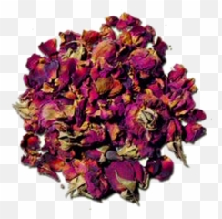 Rose Buds And Petals Herbal Loose Tea - Garden Roses Png,Rose Petals Transparent