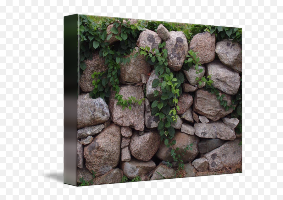 Stone Wall And Vines By Jessica Krause Smith - Stone Wall Png,Wall Vines Png