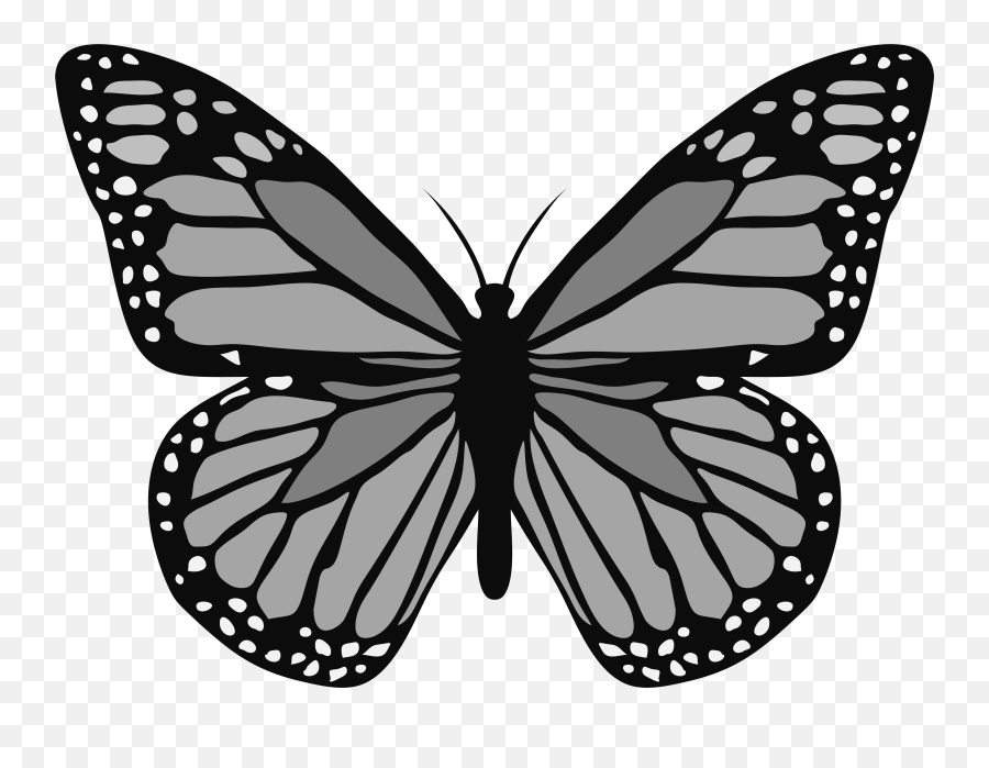 Butterfly Grayscale Monarch - Aqua Butterfly Png,Monarch Butterfly Icon
