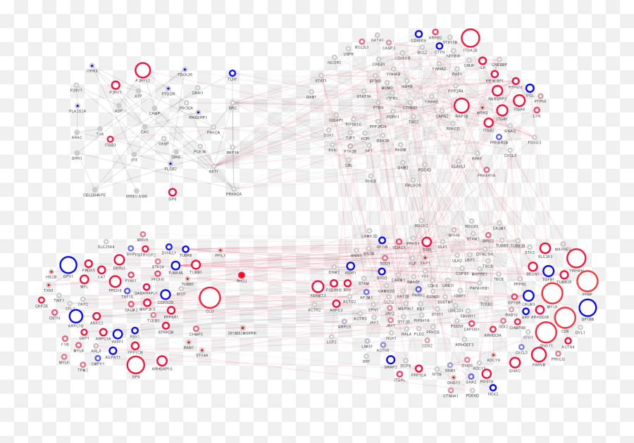 Comparison Of The Central Human And Mouse Platelet Signaling - Vertical Png,Adp Icon File