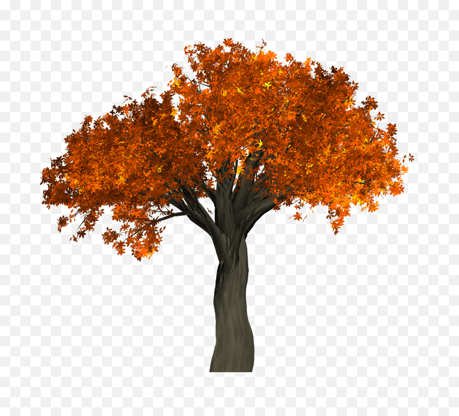 Big Autumn Tree Png Image - Transparent Background Orange Tree Png,Big Tree Png