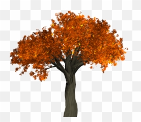 Big Autumn Tree Png Image - Transparent Background Orange Tree Png,Big Tree Png