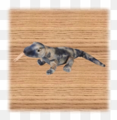 Ravensden 60cm Komodo Dragon - Cryptid Png,Komodo Dragon Png