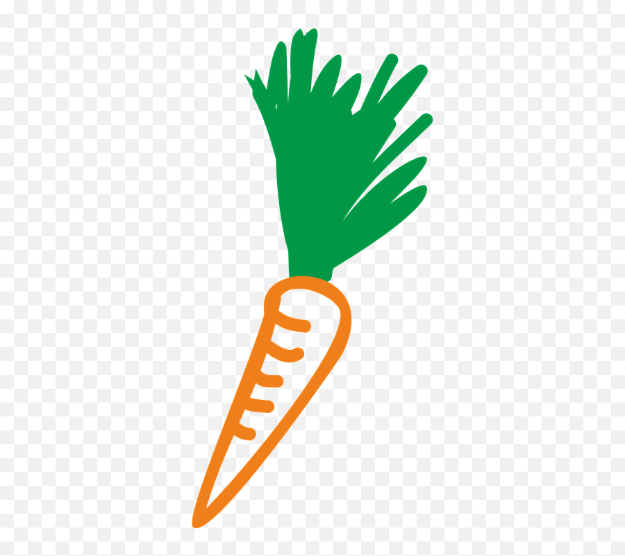 Carrot A Vegetable Carrots - Free Vector Graphic On Pixabay Carrot Png,Carrot Transparent Background