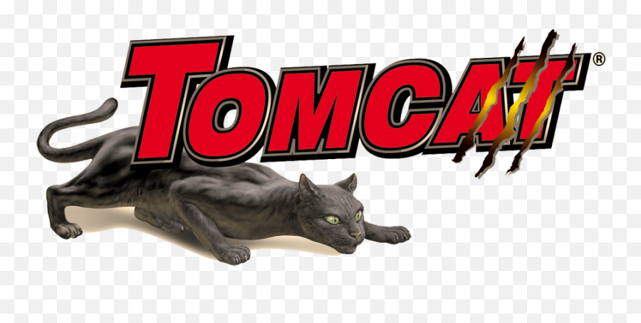 Country Store - Farm Pet Home Products Tomcat Png,Tomcat Icon