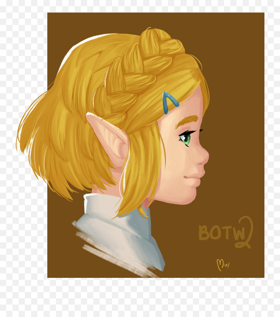 Zelda Botw2 By Miel09 - Hair Design Png,Zelda Icon