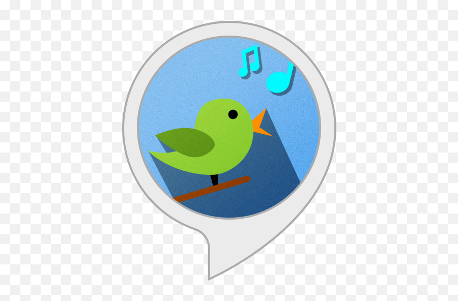 Amazoncom Bird Song Alexa Skills - Songbirds Png,Parrot Icon