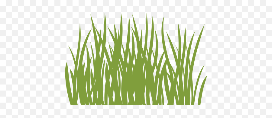 Grass Graphics To Download Png Grassland Icon