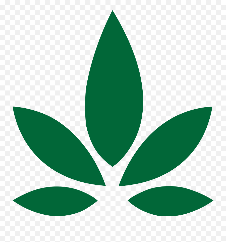 Prairie Cannabis - About Us Prince Albert Sk Prairie Prairie Cannabis Png,Cannabis Leaf Png