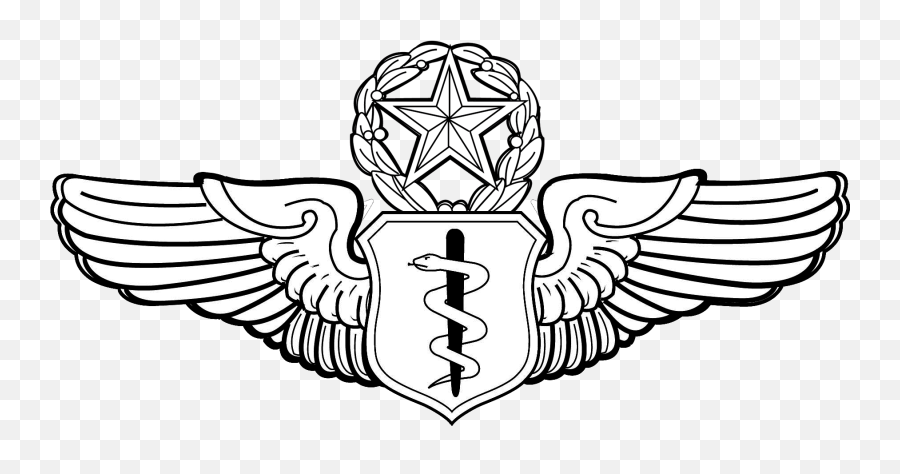 Obsolete Badges Of The United States - Air Force Flight Surgeon Badge Png,Pilot Wings Png