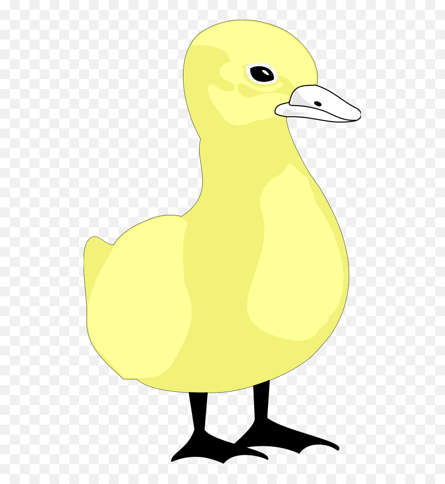 Cartoon Duck Svg Clip Arts Download - Download Clip Art Png Duck,Duck Cartoon Png