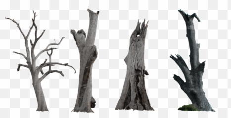 Ink Chinese Style Dry Branches - Dry Tree Branch Png,Dead Tree Png