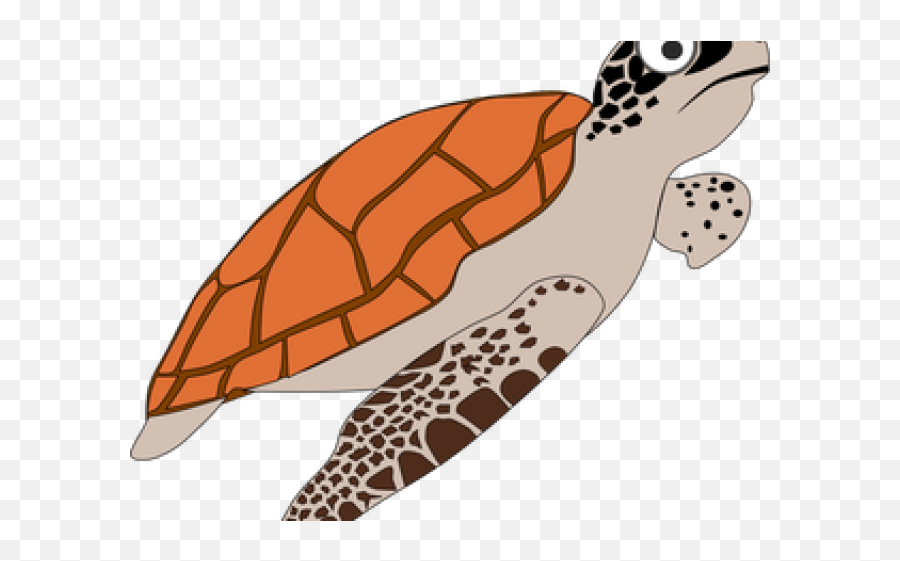 Turtle Clipart Png - Sea Turtle Clipart Sea Lion Hawksbill Sea Turtle Cartoon,Turtle Clipart Png