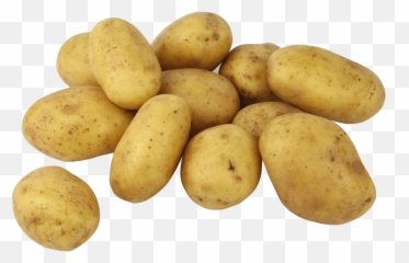 Potato Png Transparent Images Free Download - Transparent Background Potato Image Png,Potatoes Png