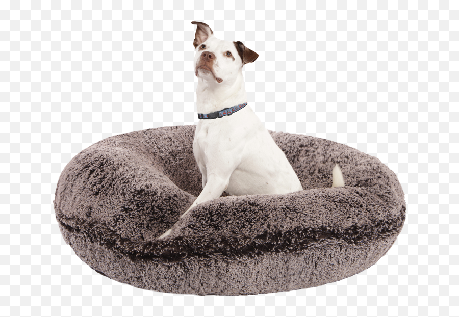 Luxurious Dog Beds Made In Usa Bessie Barnie U2013 - Transparent Dog Bed Png,Doggo Png