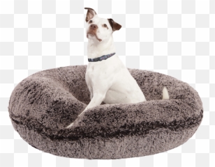 Luxurious Dog Beds Made In Usa Bessie Barnie U2013 - Transparent Dog Bed Png,Doggo Png