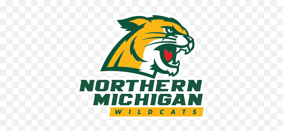 Nmu Football Player Signed By Steelers Wnmu - Fm Northern Michigan University Wildcats Png,Pittsburgh Steelers Logo Png