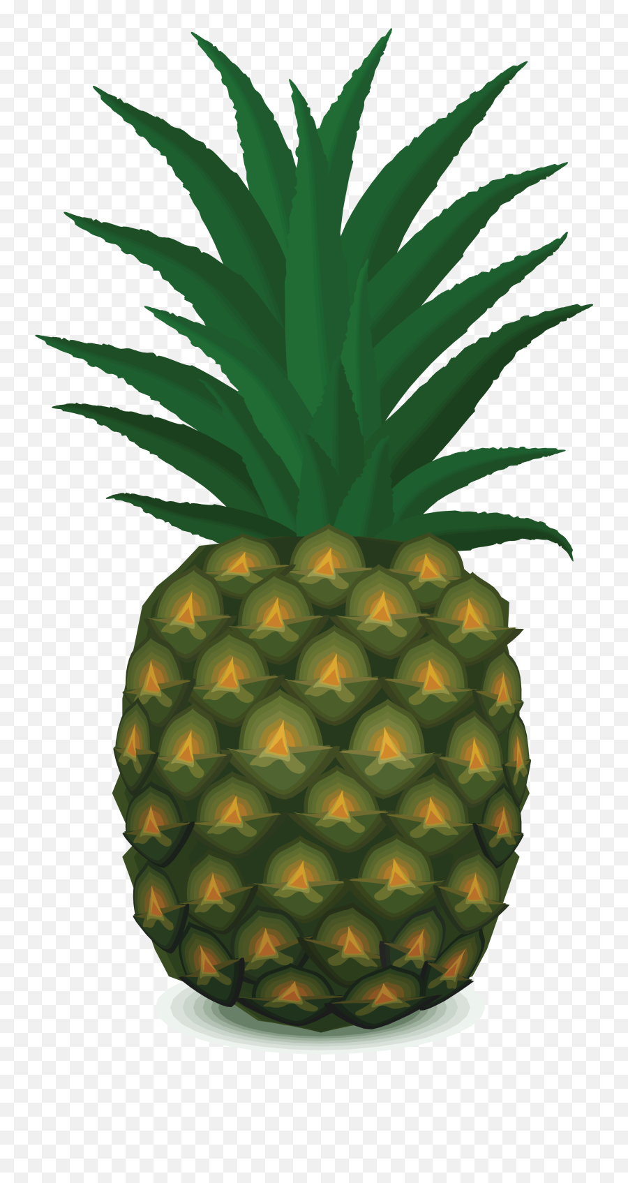 Download Pineapple Png Image - Pineapple Vector,Pineapples Png