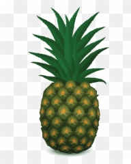 Download Pineapple Png Image - Vector