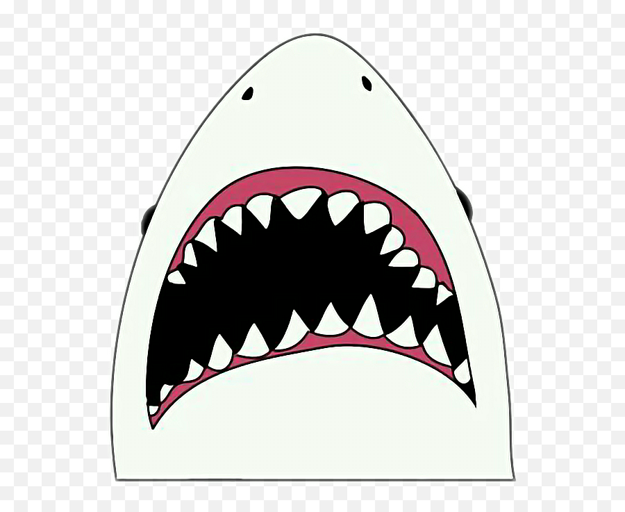 Download Jaws New Sticker Enjoy Good Night Sweet Dreams - Stickers Shark Png,New Sticker Png